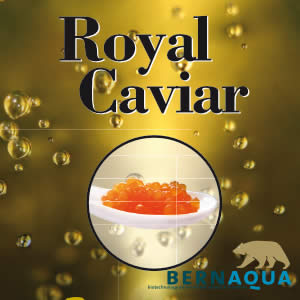 Royal Caviar