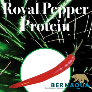 Royal Pepper Protein